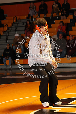SVL_wr-v_024