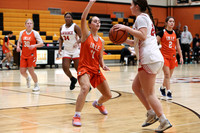 SVL_bb-g-j_10