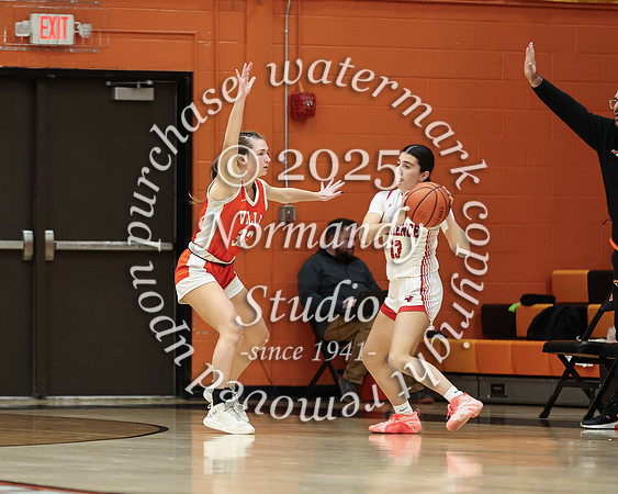 SVL_bb-g-v_36