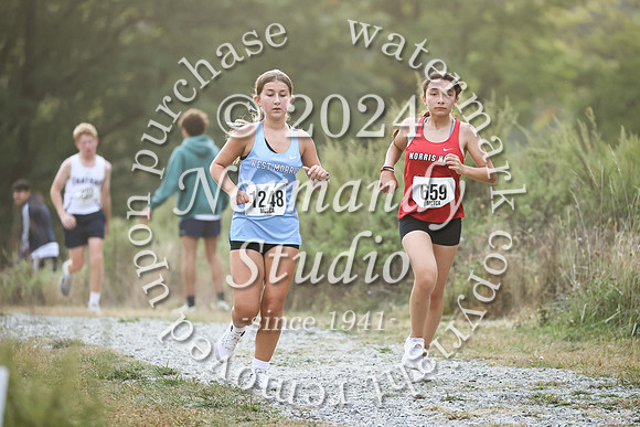 WMC_cc-g_14