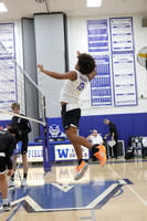 WHS_vb-b-j_001