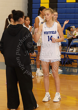 WHS_bb-g_003