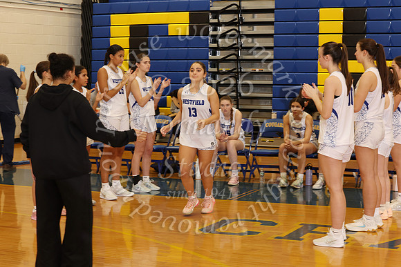 WHS_bb-g_004