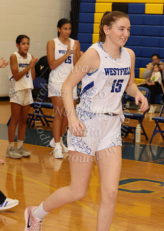 WHS_bb-g_010