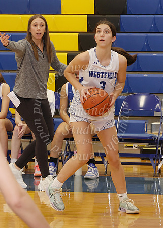 WHS_bb-g_025
