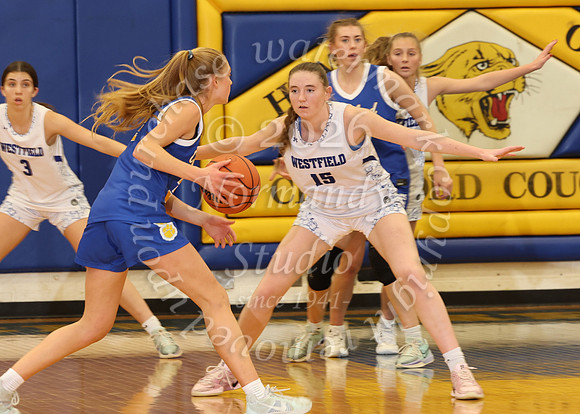 WHS_bb-g_036