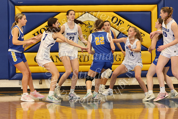WHS_bb-g_037