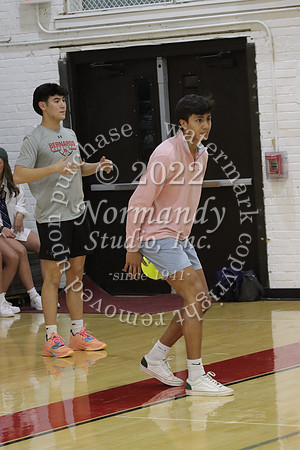 BER_dodgeball_066