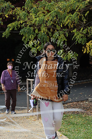 MSM_halloween_25