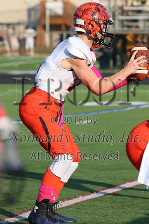 SVL_fb-j_052