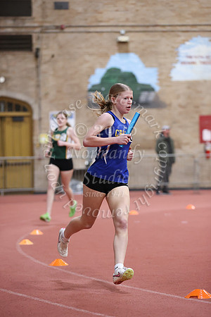 CHS_tr-g_15