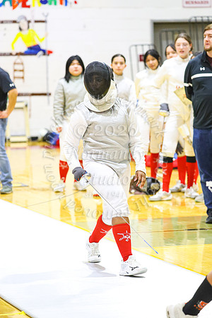 BER_fe-g_38
