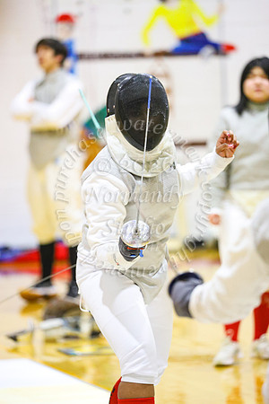 BER_fe-g_41