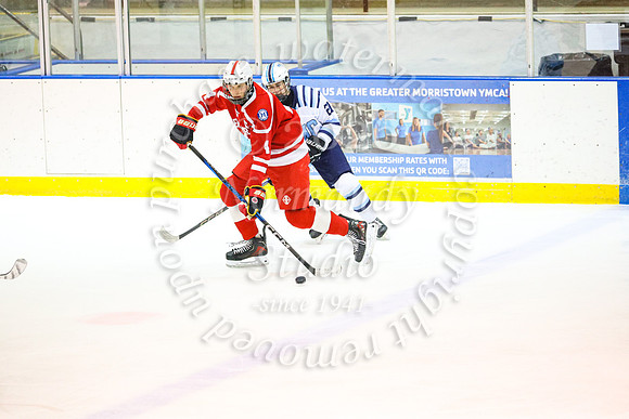 BER-SVL_ih__061