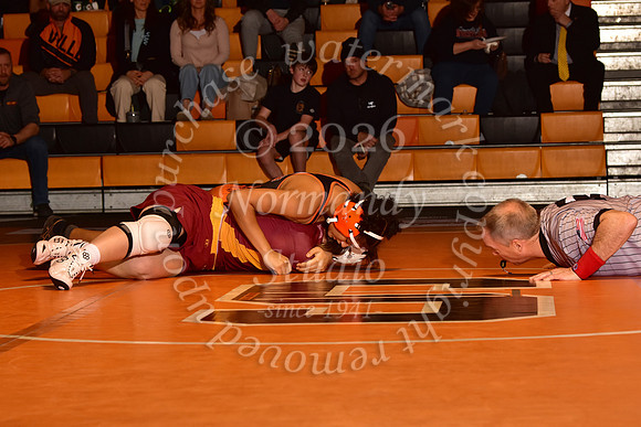 SVL_wr-g_25