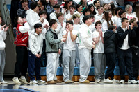 MNP_bb-fans_04