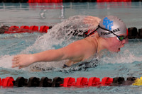 SWIMMING GIRLS