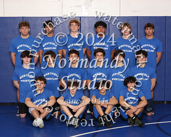 WHS_wr-t_04