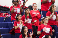 DHS_ch_20