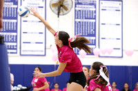 WHS_vb-pink out_11
