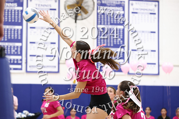 WHS_vb-pink out_11