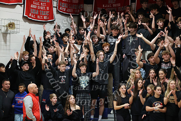 WMM_bb-fans_05