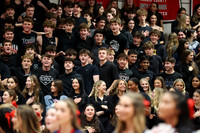 WMM_bb-fans_20