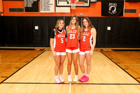 SVL_bb-g-v-t_05