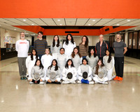 SVL_fe-g-t_05