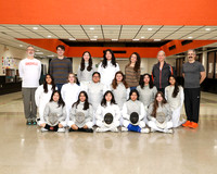 SVL_fe-g-t_06