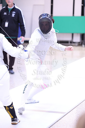 RAM_fe-g_042