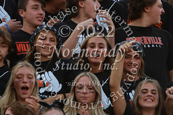 SVL_fans_16