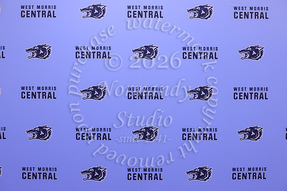 WMC_slc_019
