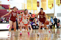 SVL_bb-g_20
