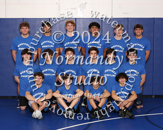 WHS_wr-t_06