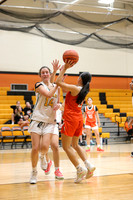 SVL_bb-g-j_20