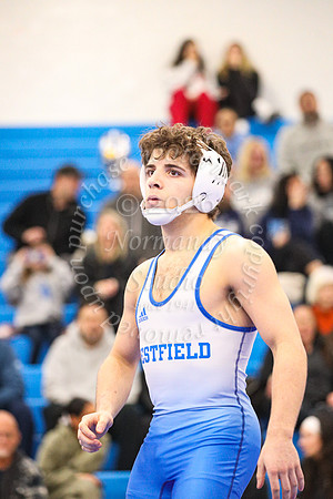 WHS_wr-b_39