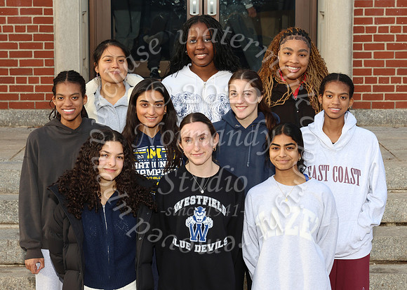 WHS_tr-g-winter-t_05
