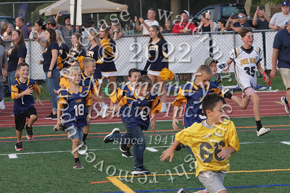 DVH_fb_43