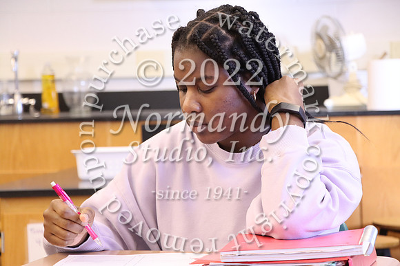 WHS_44_slc