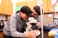 WHS_04_slc