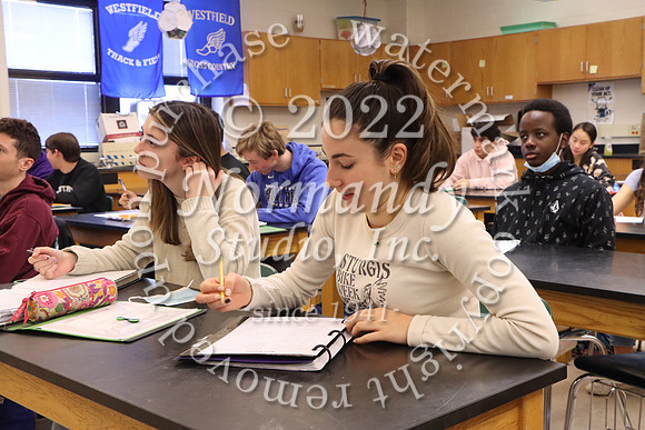 WHS_10_slc