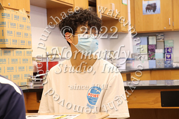 WHS_31_slc
