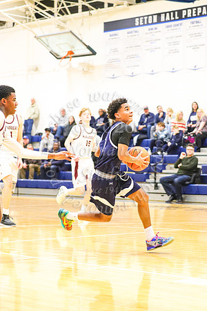 SHP_bb-f_22
