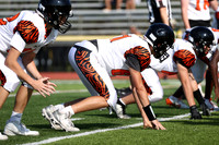 SVL_fb-f_03