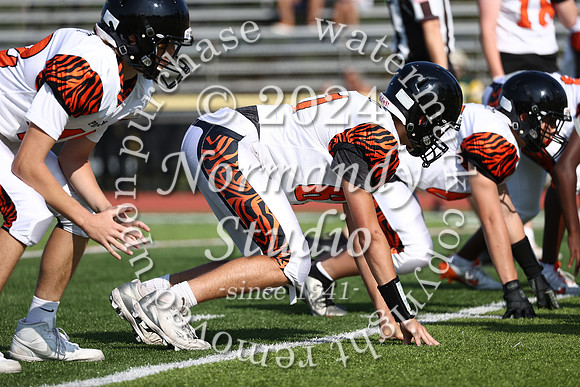 SVL_fb-f_03