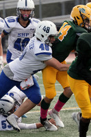 SHP_fb-f_20