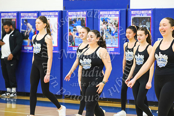 WHS_dn_05