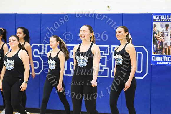 WHS_dn_04