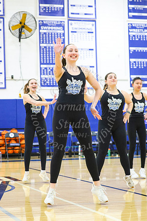 WHS_dn_12